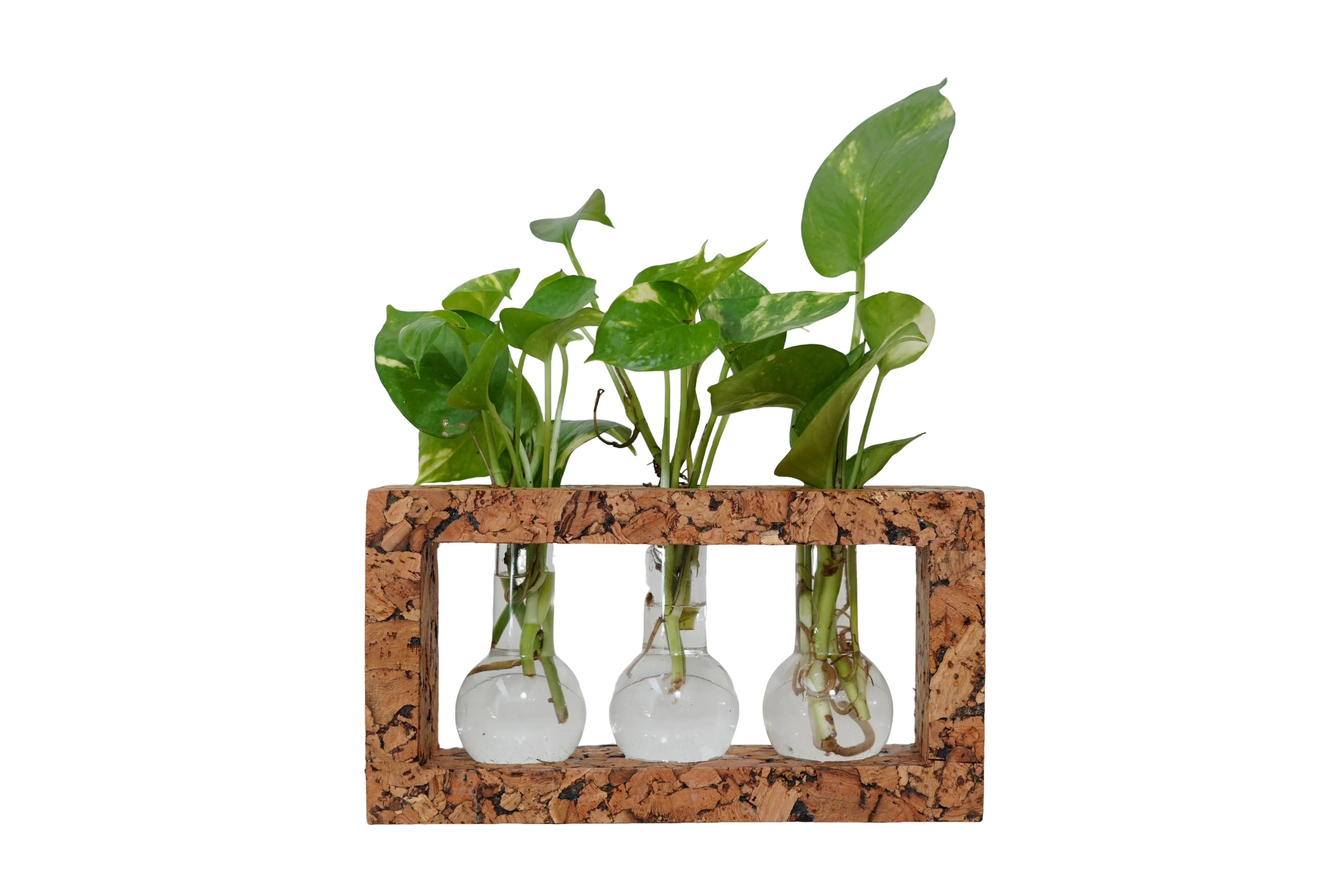 3 Beaker Planter