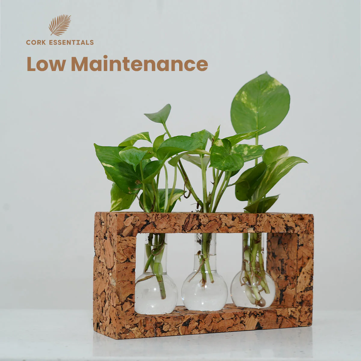 3 Beaker Planter - Image 3