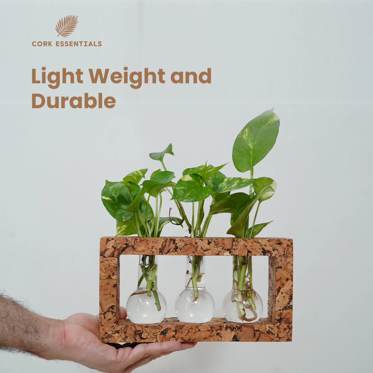 3 Beaker Planter - Image 4