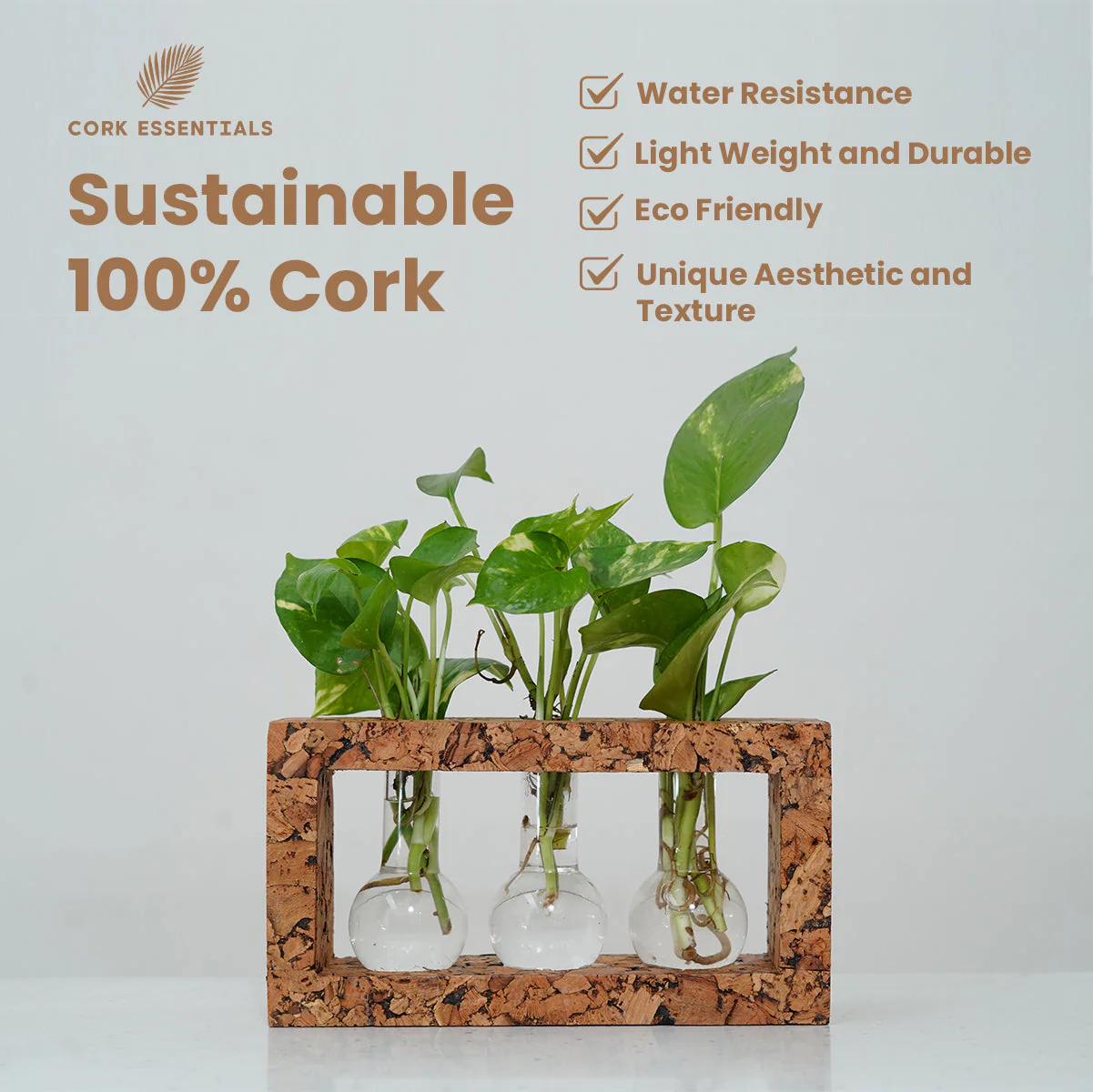 3 Beaker Planter - Image 5