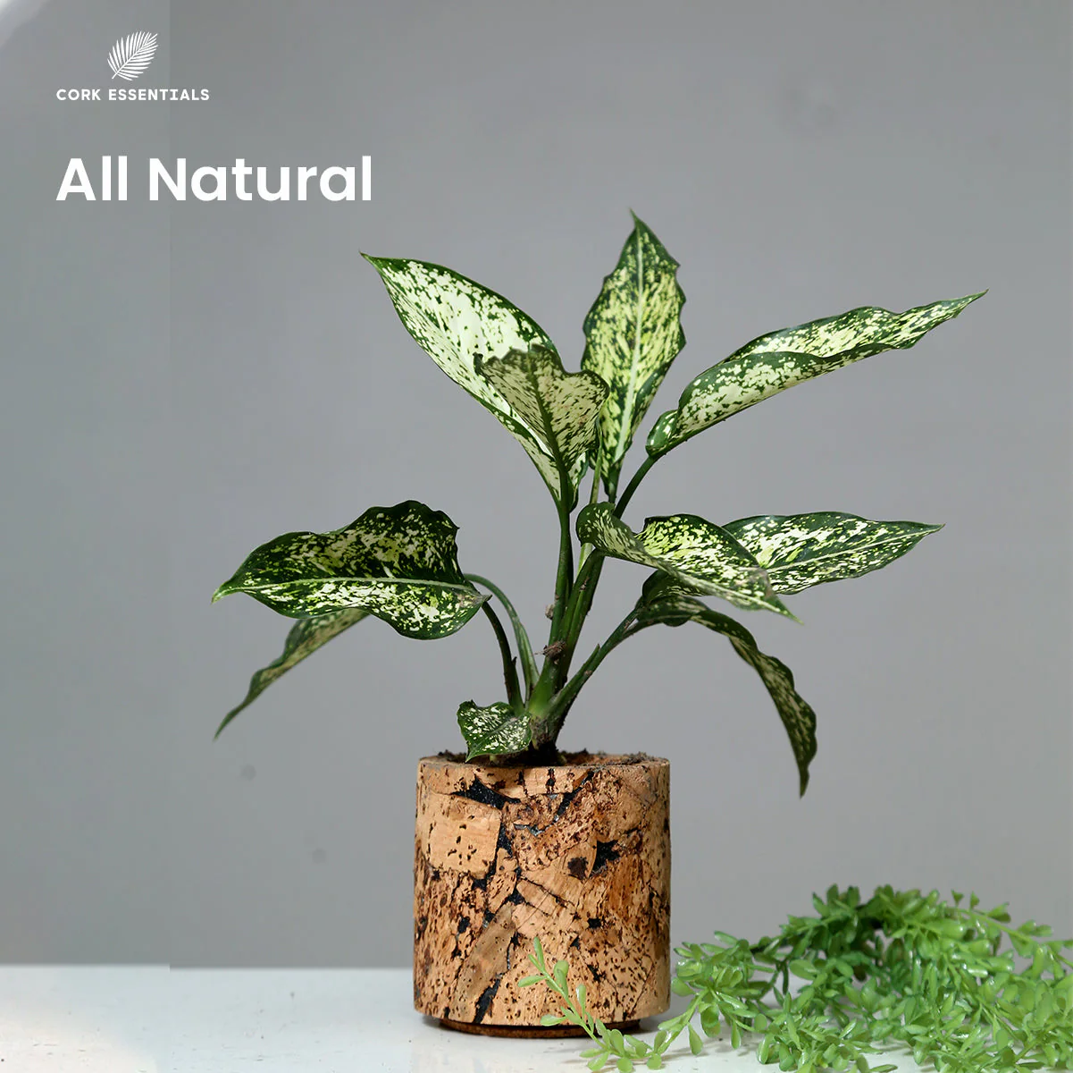 Aqua Planter Round - Image 2