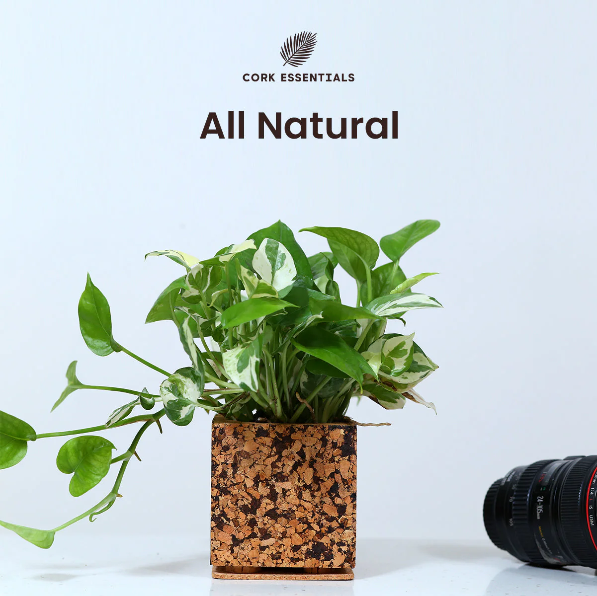 Chocochip Textured Planter - Image 2