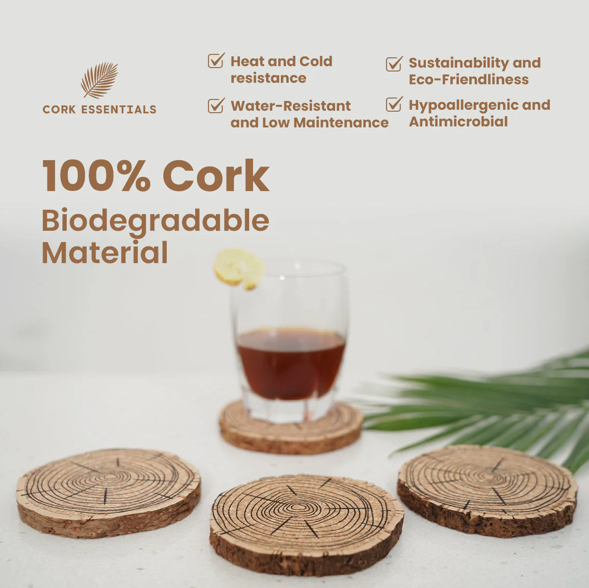 Cork Belly Coaster Set of 4 - Image 4