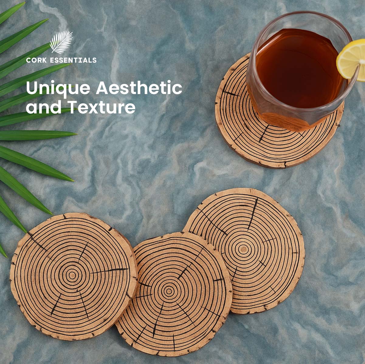 Cork Belly Coaster Set of 4 - Image 5