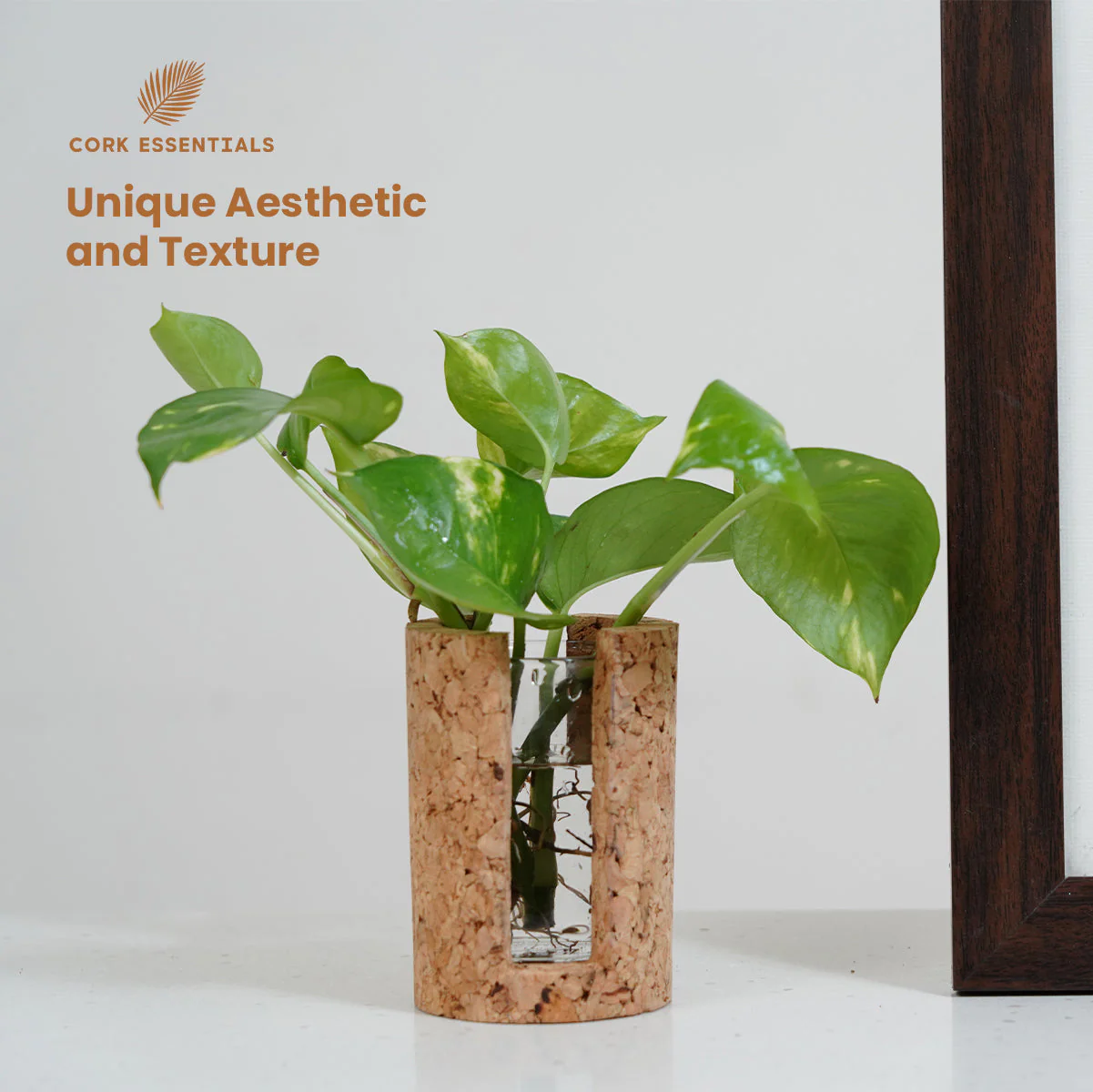 Cylindrical Test Tube Planter - Image 5
