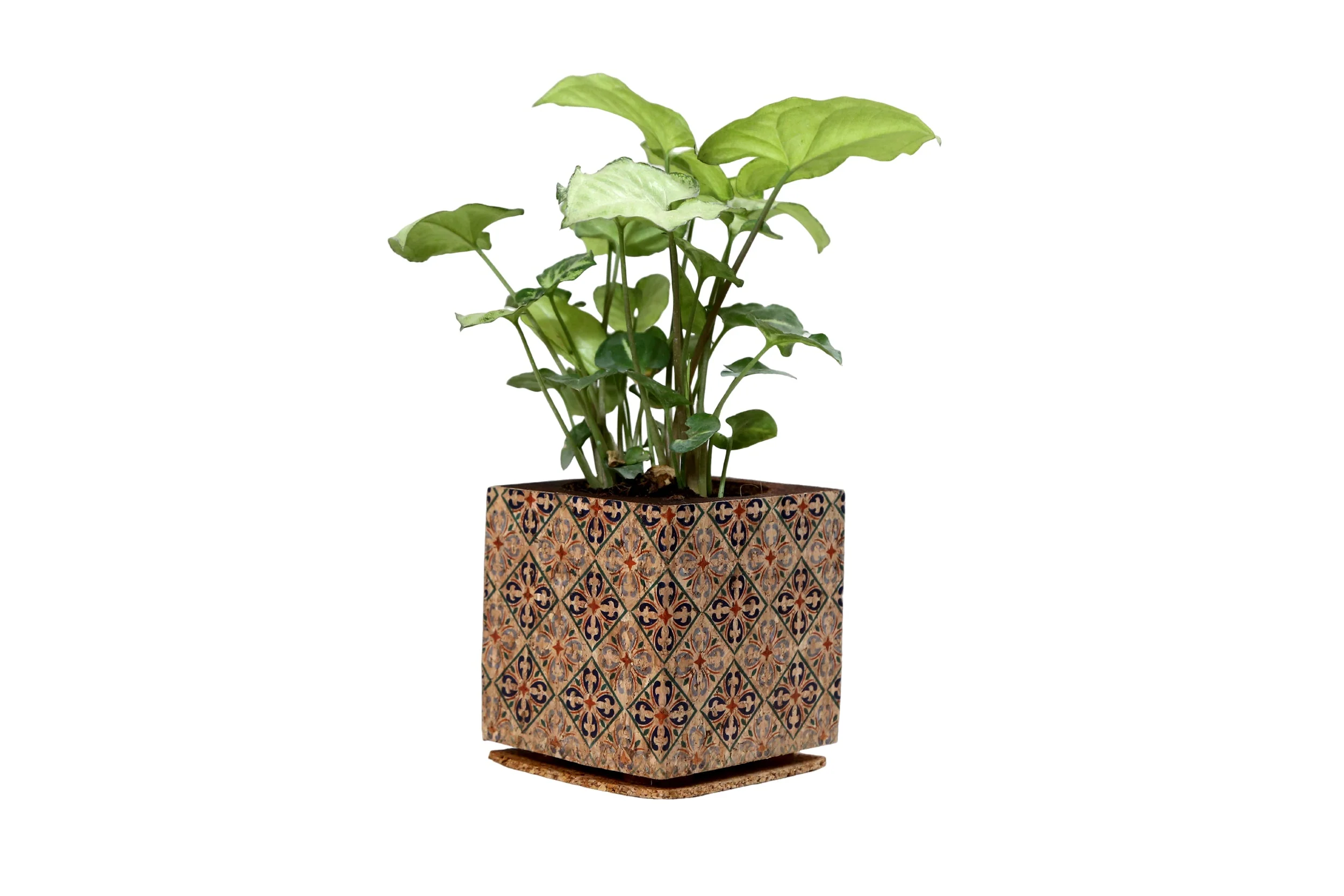 Diamond Print Planter