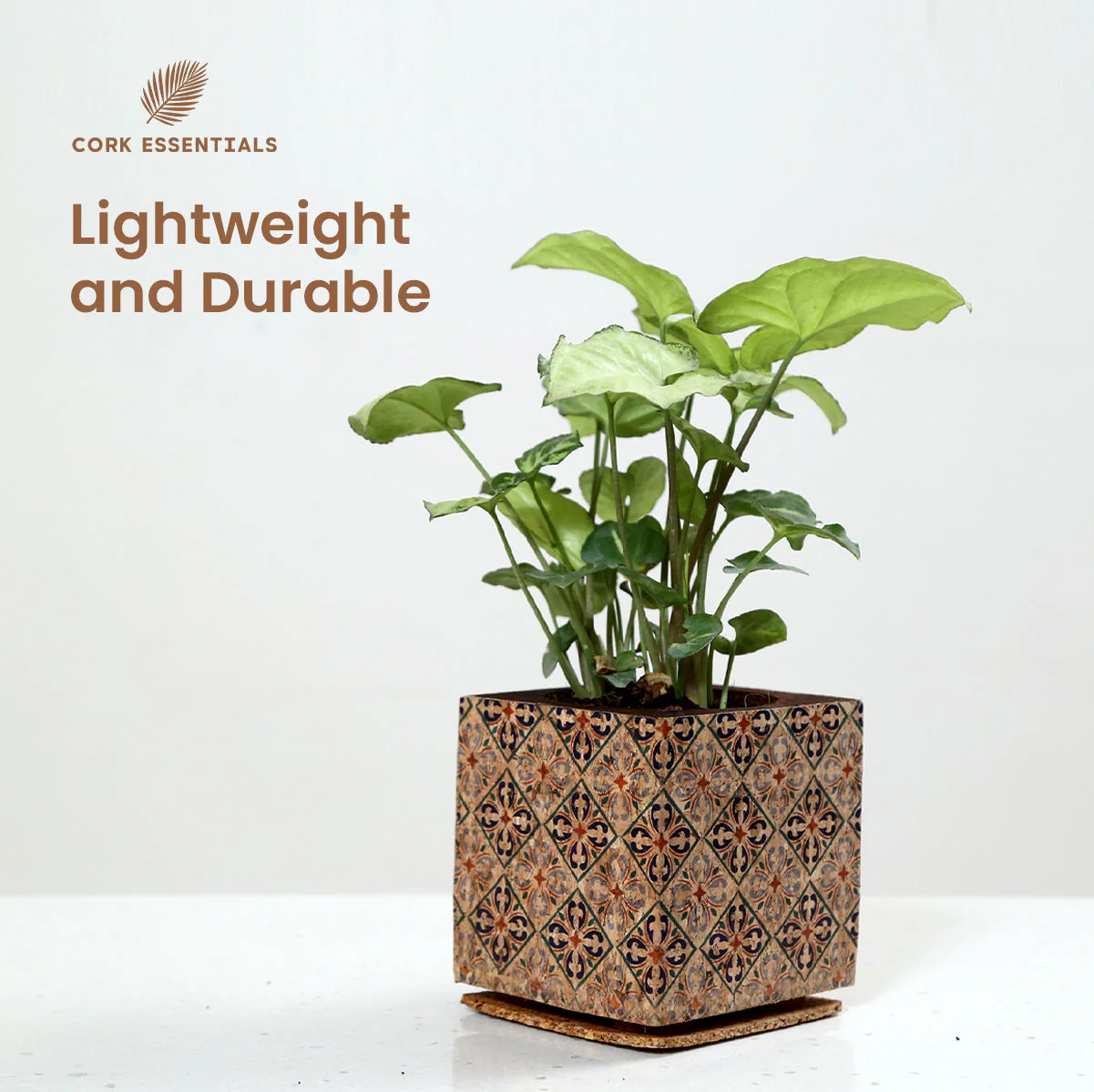 Diamond Print Planter - Image 6