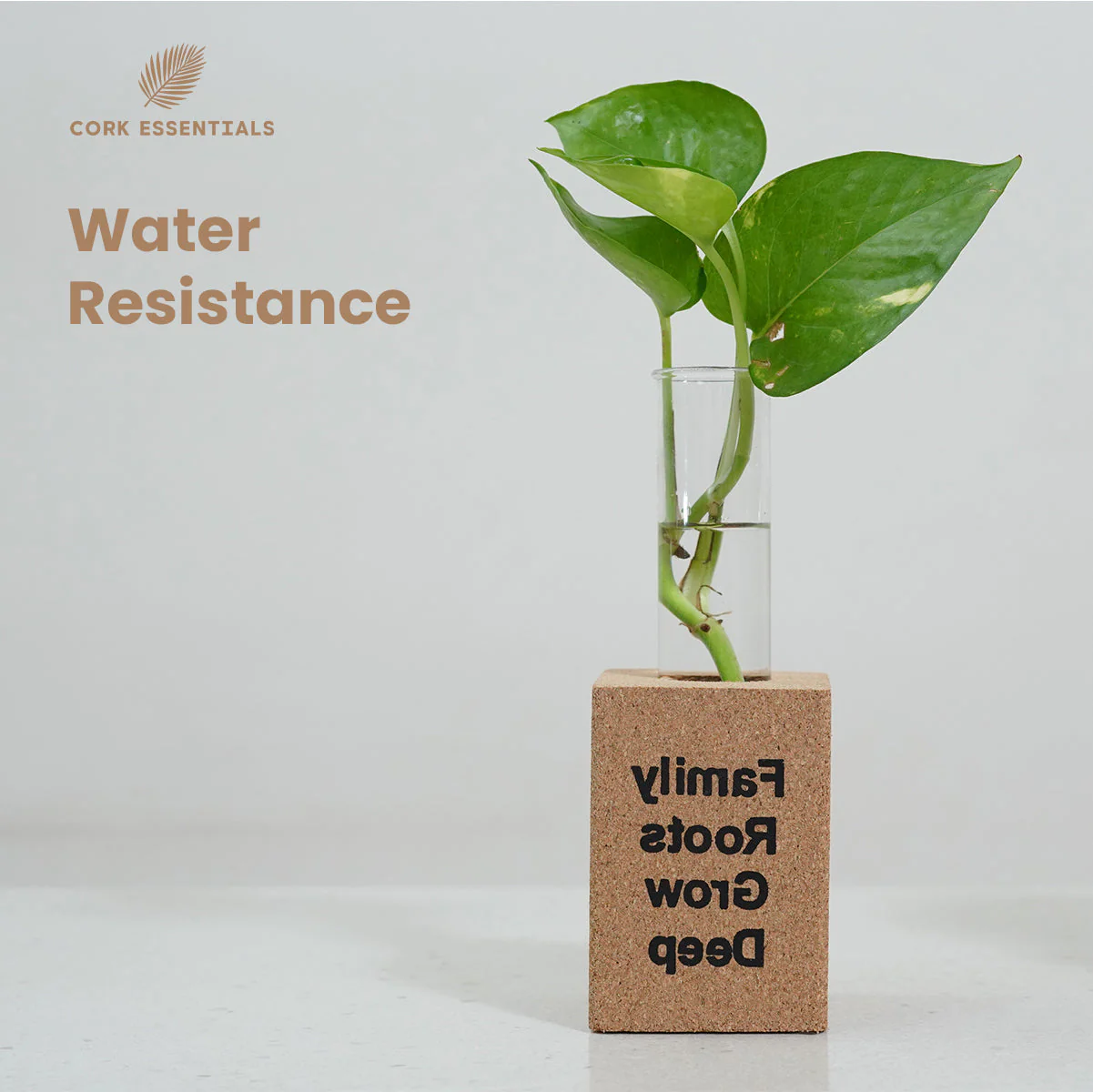 Fridge Magnet Planter Family Roots Grow Deep With Test Tube - Image 5