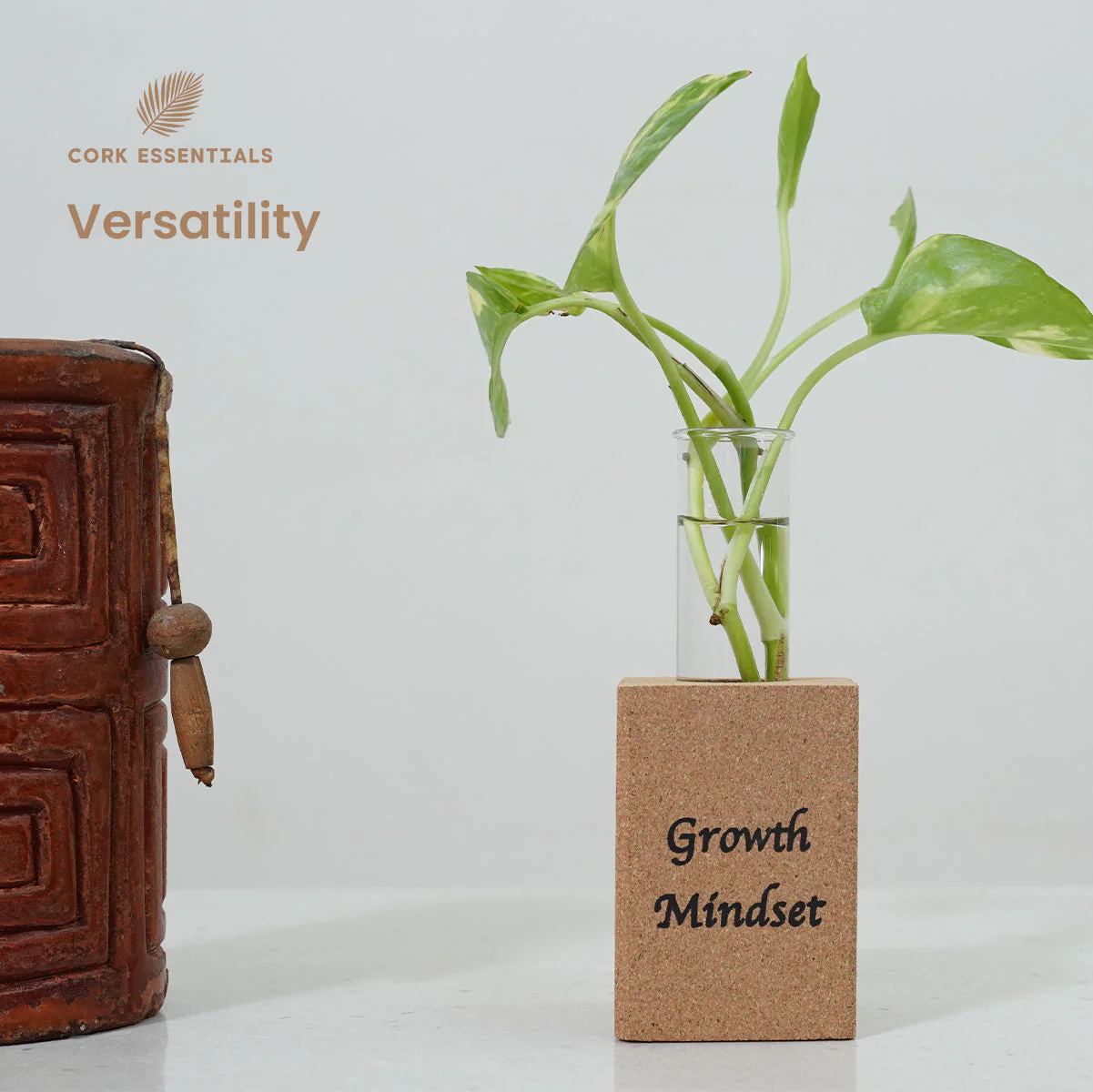 Fridge Magnet Planter Growth Mindset With Test Tube - Image 5