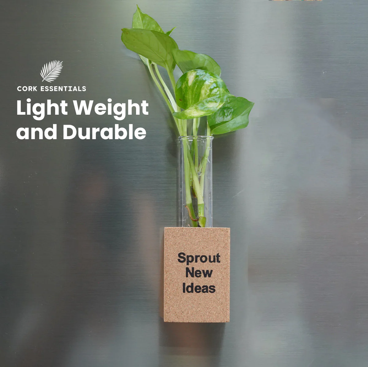 Fridge Magnet Planter Sprout New Ideas With Test Tube - Image 2