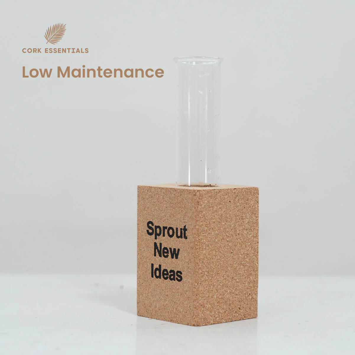 Fridge Magnet Planter Sprout New Ideas With Test Tube - Image 4