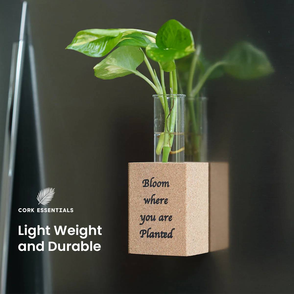 Fridge Magnet Planter Bloom Where Planted With Test Tube - Image 2