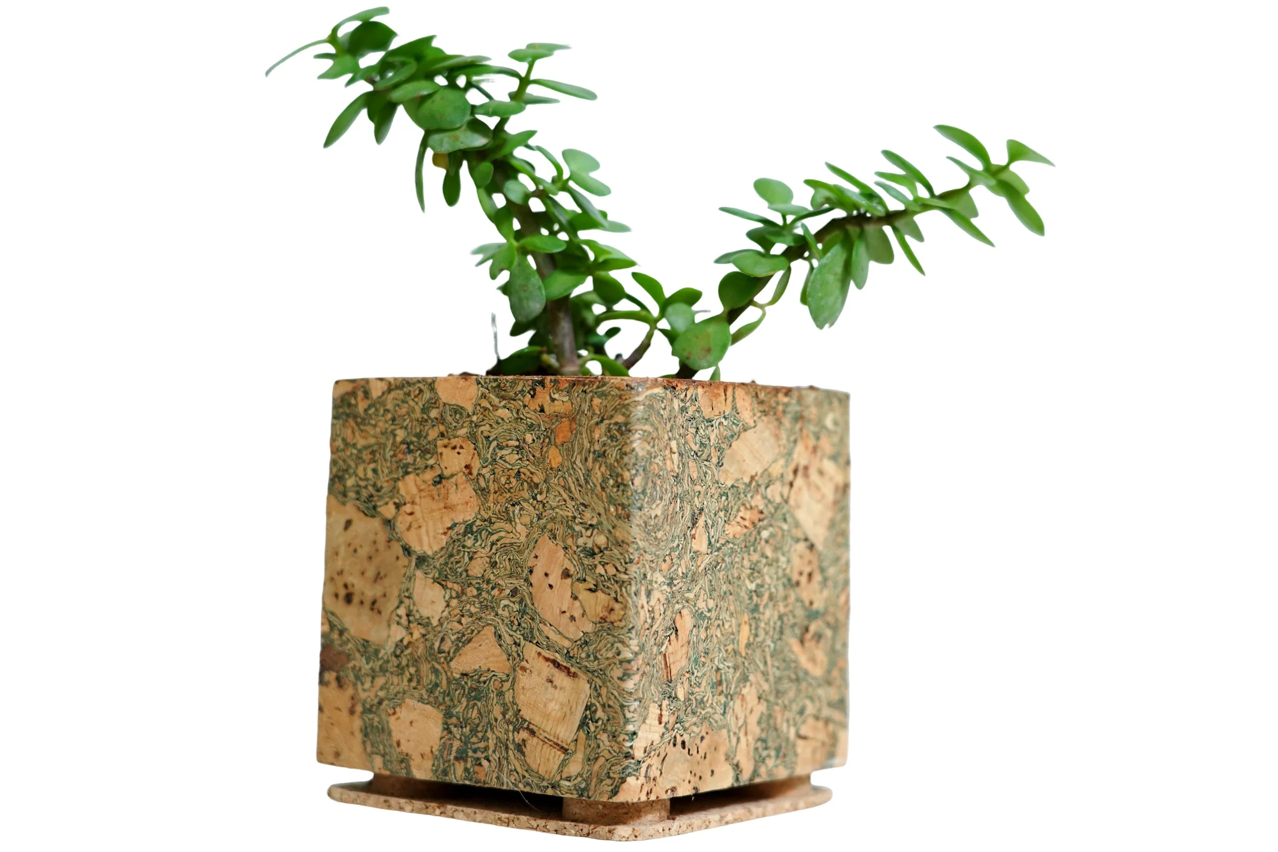 Olive Textured Planter