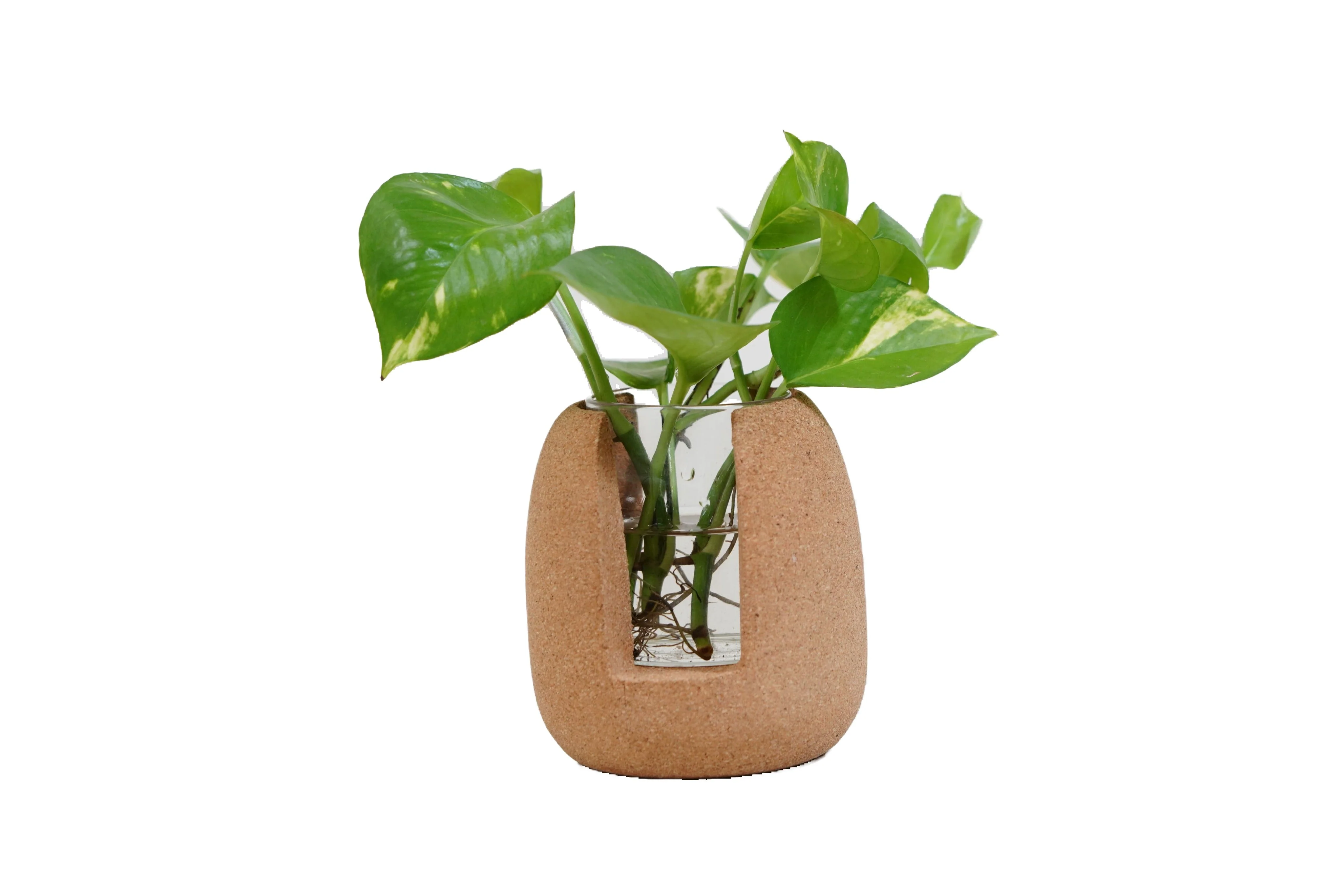Oval Test Tube Planter